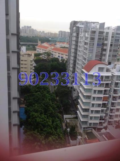18 Woodsville (D13), Apartment #121395592